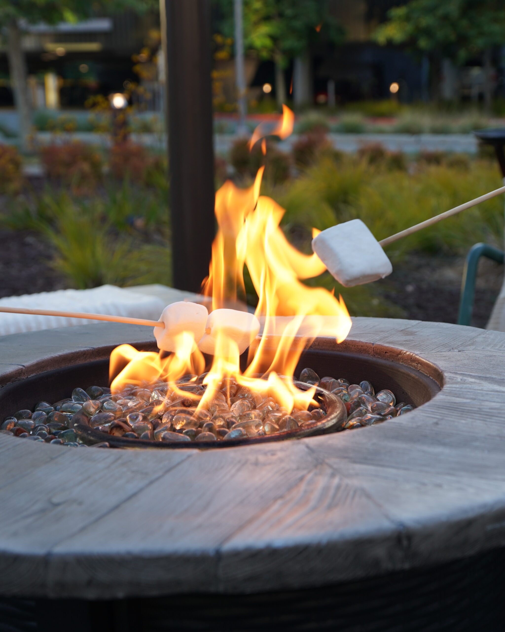 S'more Celebration
