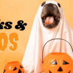 Barks & Boos