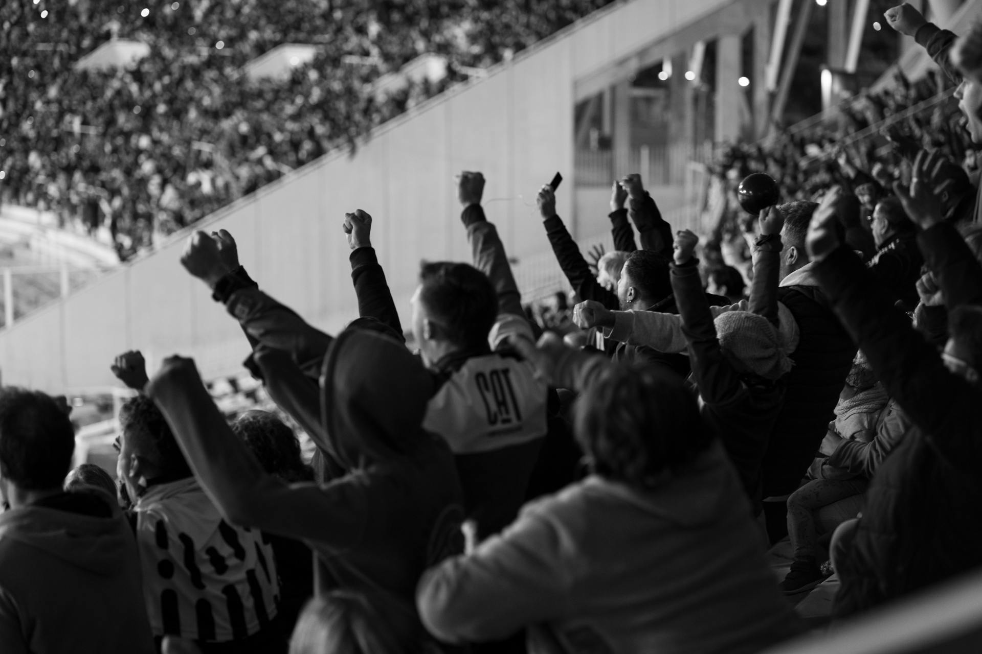 cheering fans at a soccer game